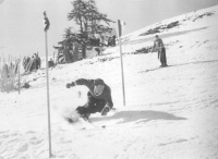  Avstrijec Toni Sailer na treningu slaloma leta 1957. Viden je poudarjen smučarski odklon in tehnika nasprotnega sukanja ramen.
