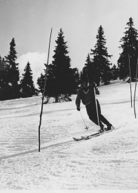  Trening slaloma na Krvavcu v Tihi dolini leta 1960. Treningi so bili na urejenem smučišču, vendar v tistem času še brez ograje, ki bi ločevala tekmovalno progo od drugega smučišča, kot je to pravilo danes.