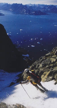  Alpinistično smučanje je zvrst prostega smučanja izven urejenih prog, ki zahteva vrhunsko znanje smučanja in tudi alpinizma. Vzpon je po več ali manj alpinističnih smereh in prav tako spust preko vesin nad 45 stopinj (revija Backcountry, 2005).