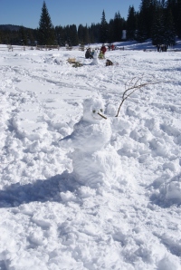  Jaz bom raje naredil snežaka.