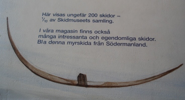  Upognjena švedska smučka iz Smučarskega muzej Umeå, Švedska, najdena v Södermanlandu. Ta pa ni edina, saj je na las podobna na ogled v Smučarskem muzeju v Besse-en-Chandesse, vulkanska pokrajina Auvergne (znana tudi kot Massif Central) v Franciji. Muzej Umeå ima preko 200 parov zelo dragocenih starih smuči. 