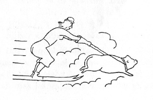  Norveška vleka smučarja (orig. Skijøring) je poznala vleko s severnim jelenom in konjem. Farncozi še z avtom. Rudi Stopar, rezervni alpski tekmovalec za olimpijske igre leta 1936, je leta 1938 upodobil slovensko vleko smučarja, ki se je končala s klobasami, pečenicami in krvavicami.