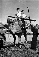  Ameriški snemalec čudovitih smučarskih filmov John  Jay je s »kamelentrajberji« v Egiptu smučal okoli Keopsove piramide.