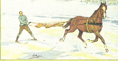  Konji so dvigovali kepe snega izpod kopit, ki so zadevale smučarje. Naravna potreba je marsikdaj nagnala konje, da so spuščali fige, ki so frskale po smučarjih izpod kopit naslednje konjske vleke, smučke povozile ostanke prebavljene hrane. So pa pralnice zaslužile več, ko so morali smučarji očistiti svoja oblačila. Umni izumitelji so se spomnili in napeli za konji platneno cunjo na dolge vajeti, ki je prestrezala snežne kepe in dele konjskih fig. Razglednica švicarskega slikarja Carla Pellegrinija iz okoli 1910.